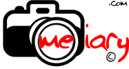 Meiary logo